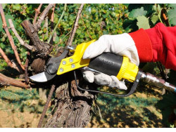 Αεροψάλιδο κλαδέματος διπλής κοπής SLY DT LISAM