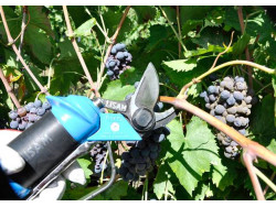 Αμπελουργικό ψαλίδι αέρος lisam 4win